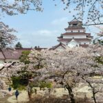 会津の盛衰を刻んだ歴史舞台。桜の海に浮かぶ白壁と赤瓦の鶴ヶ城