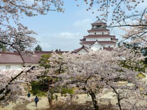 会津の盛衰を刻んだ歴史舞台。桜の海に浮かぶ白壁と赤瓦の鶴ヶ城