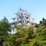清流に心洗われ、水に憩い、水に遊ぶ。水の城下町・郡上八幡