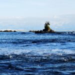 富山湾の地形が生んだキトキトの氷見寒ブリを味わい尽くす