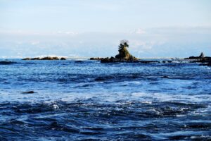 富山湾の地形が生んだキトキトの氷見寒ブリを味わい尽くす