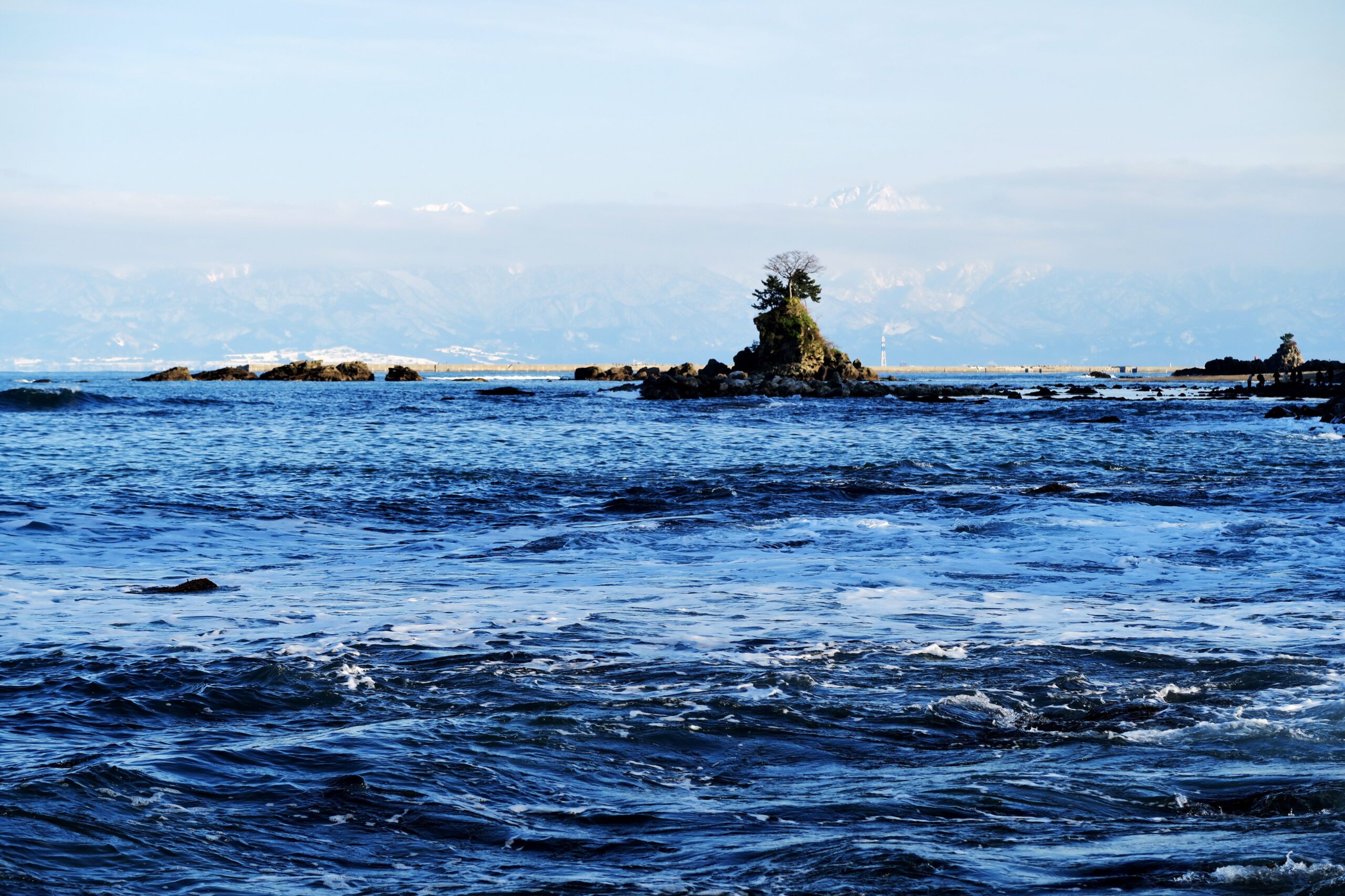 富山湾の地形が生んだキトキトの氷見寒ブリを味わい尽くす
