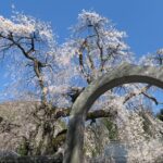 戦国の名将！真田一族発祥の地・信州上田・真田の郷を巡る旅