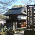 雪国の信州飯山に遅い春の訪れを知らせる飯山城を彩る満開の桜