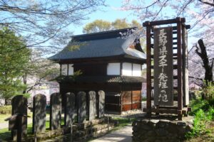 雪国の信州飯山に遅い春の訪れを知らせる飯山城を彩る満開の桜