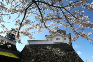 秀吉が築き家康が重視した鶴羽に似た白壁と石垣の城・甲府城