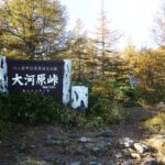 白駒池に負けない！信州大河原峠から周回する双子池と苔の森