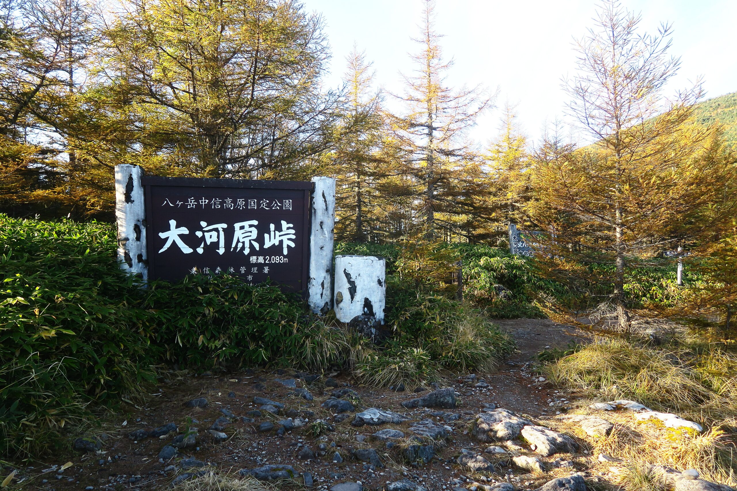 白駒池に負けない!信州大河原峠から周回する双子池と苔の森